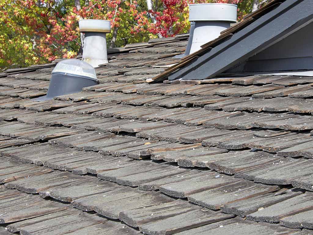 Damage to wood and shingle