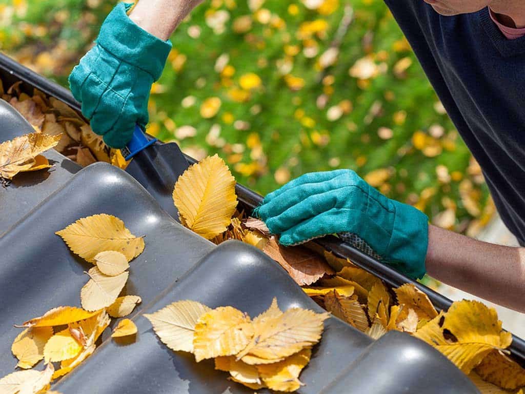 Removes organic matter