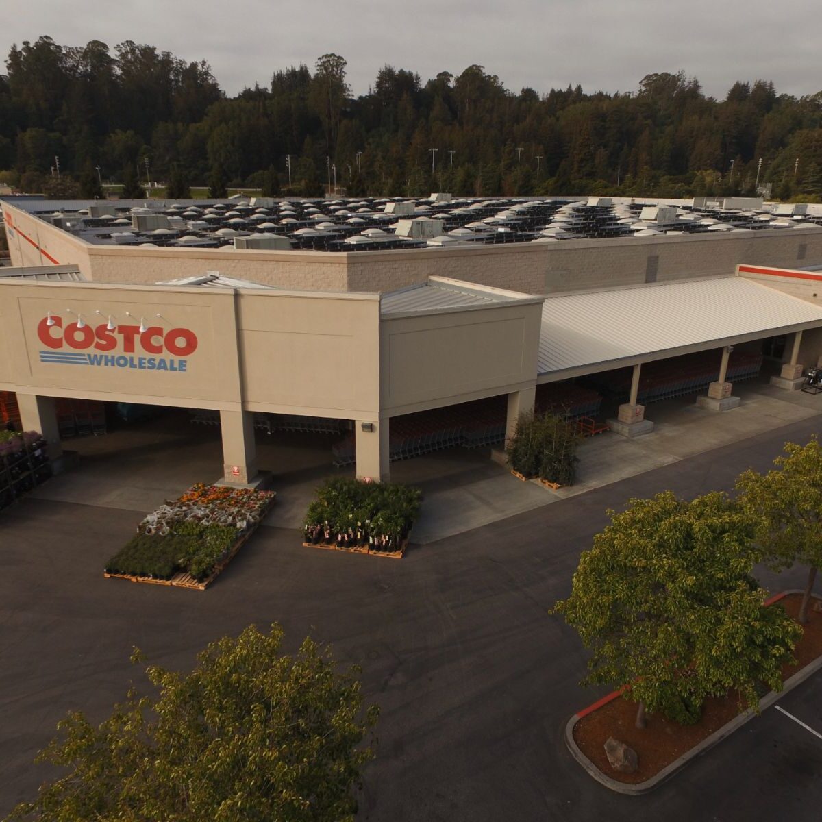 Commercial-costco-building-roofing