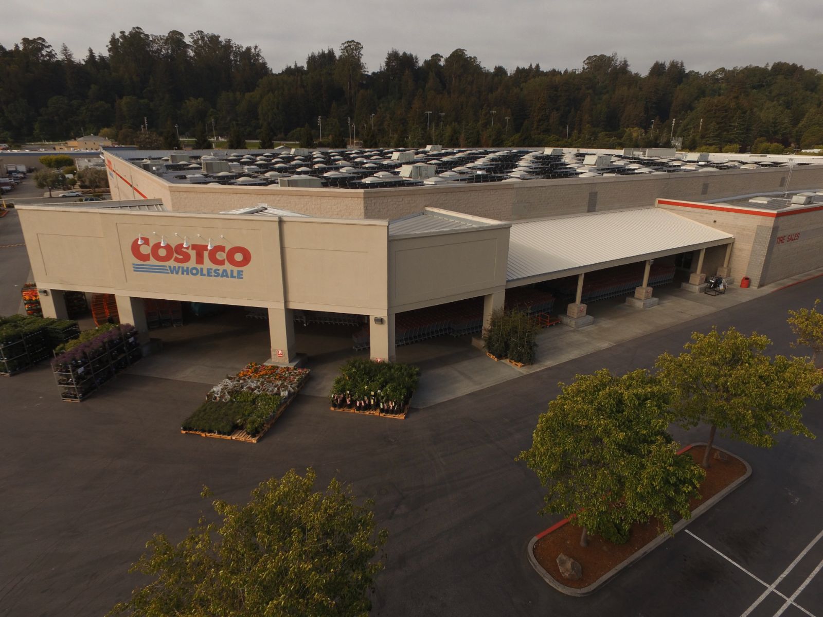 Commercial costco building roofing