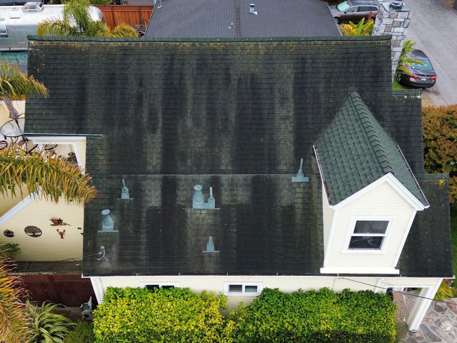 Roof covered in moss and algae before cleaning, highlighting the need for professional roof cleaning services to restore its condition.
