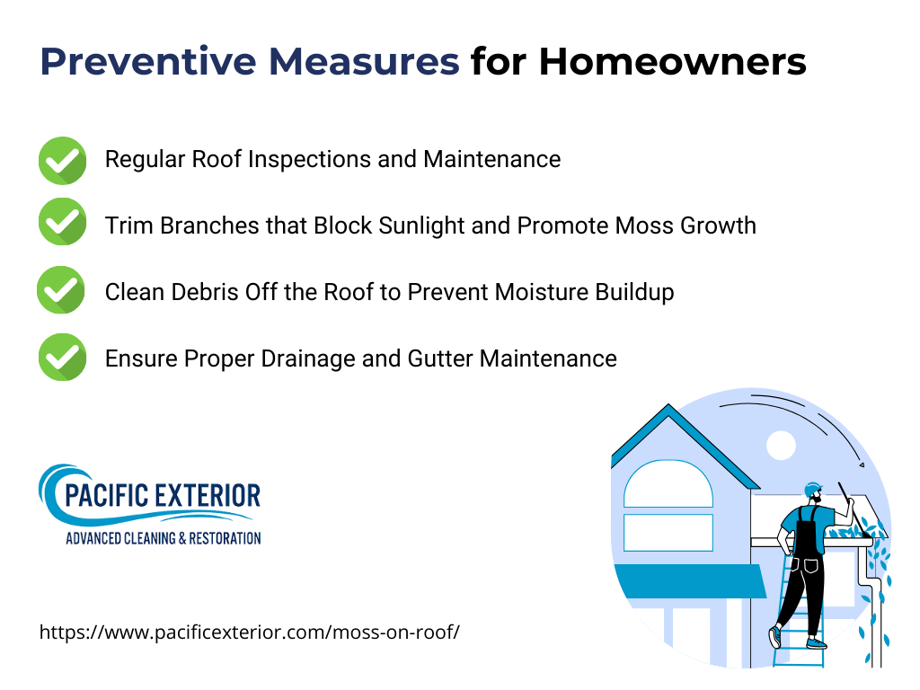 Preventive measures to prevent moss on roof