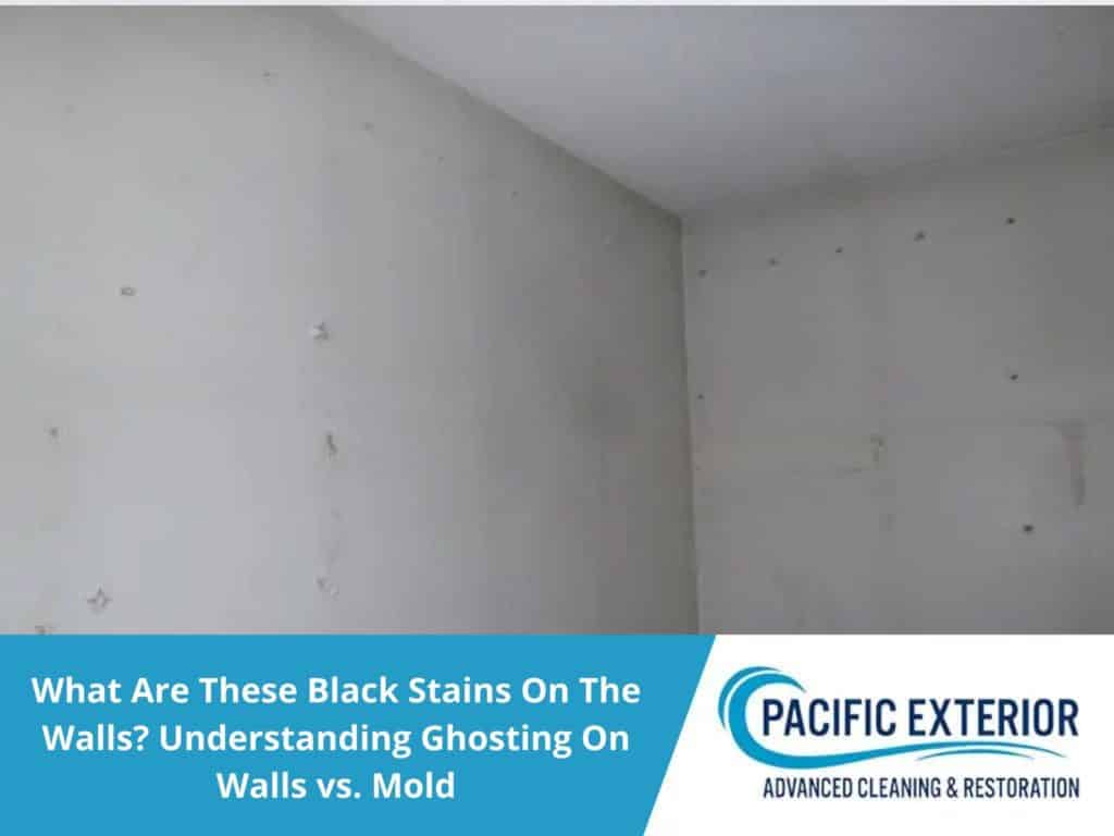 Black stains on the walls