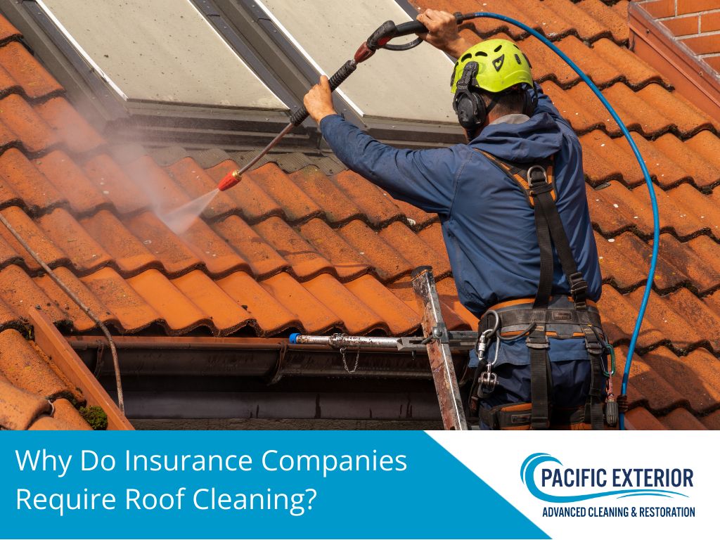 Why insurance company require roof cleaning